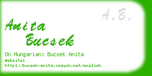 anita bucsek business card